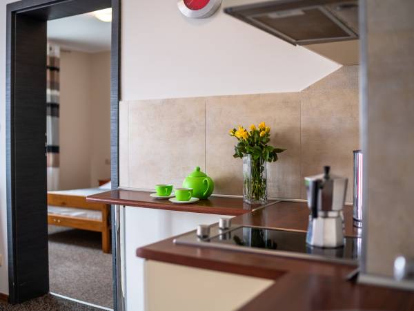 apartament - aneks kuchenny
