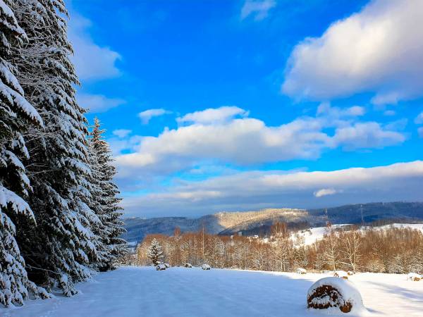 Dom Góry Karkonosze Jacuzzi/Sauna - Piaskowy Koń