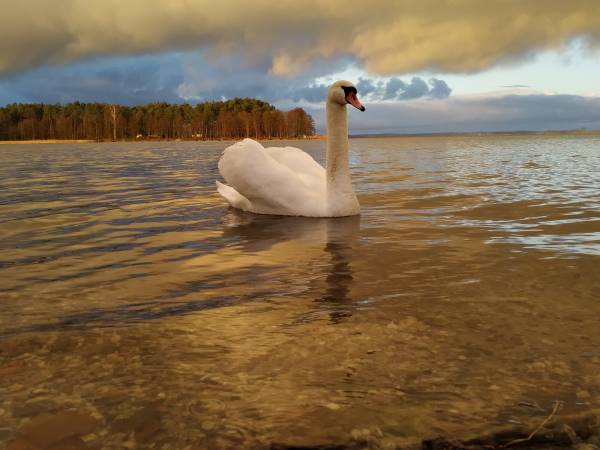 Apartamenty nad jeziorem „Odpocznij” 