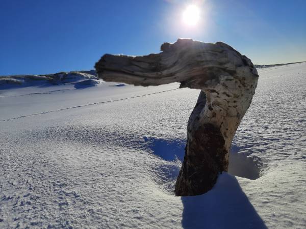 Zakątek Ventus - Dom Julia