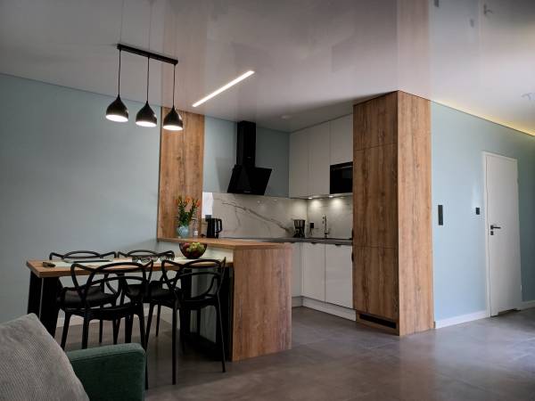 Salon z kuchnią na parterze