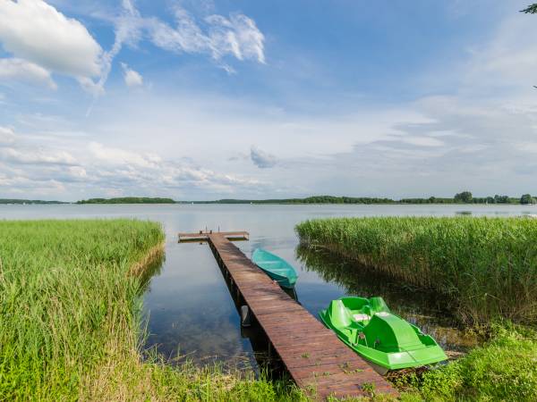 Agroturystyka u Bartnika