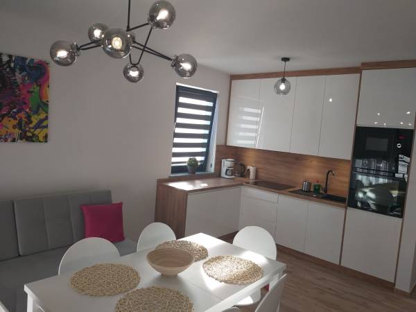 Salon z kuchnią w apartamencie Wilczy Szlak 