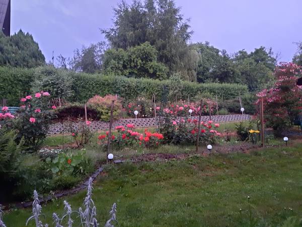 Gospodarstwo Agroturystyczne u Firków