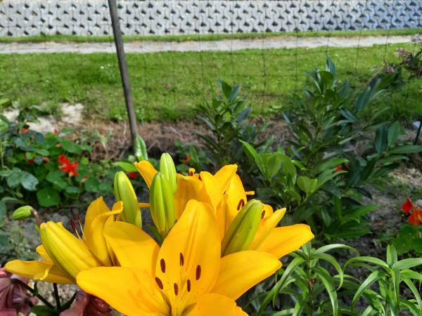 Gospodarstwo Agroturystyczne u Firków