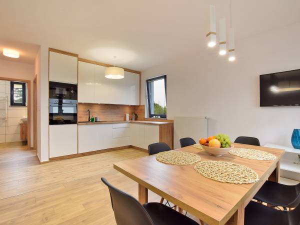 Salon z kuchnią w apartamencie Górski Potok