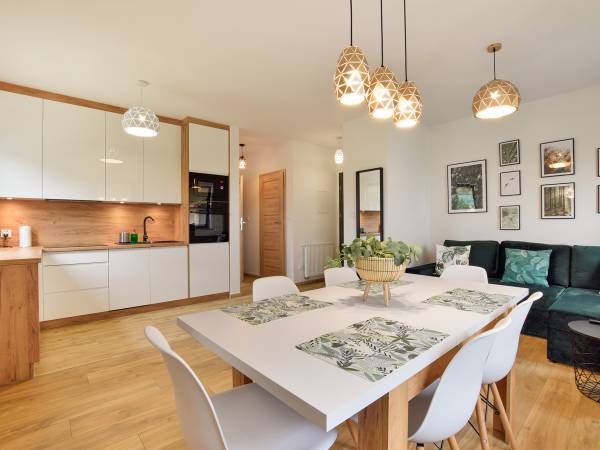 Salon z kuchnią w apartamencie Szum Lasu