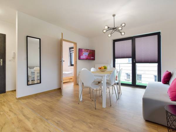 Salon w apartamencie Wilczy Szlak