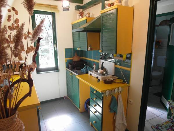 Domek letniskowy na Podlasiu