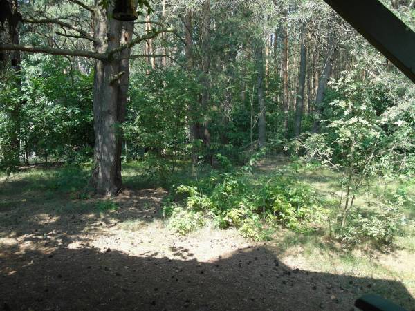 Domek letniskowy na Podlasiu