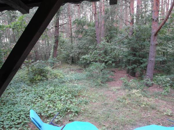 Domek letniskowy - spichlerz na Podlasiu