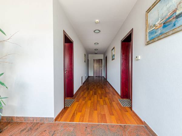 Apartamenty Leśne
