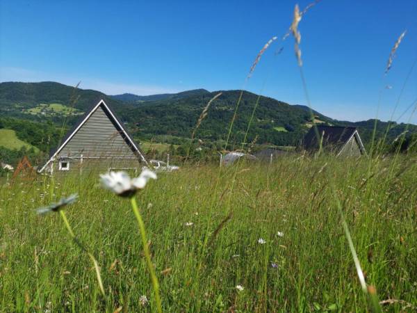 Domki - Limanowa