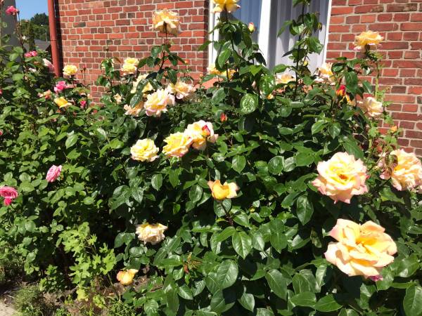 Pokoje gościnne Ewa