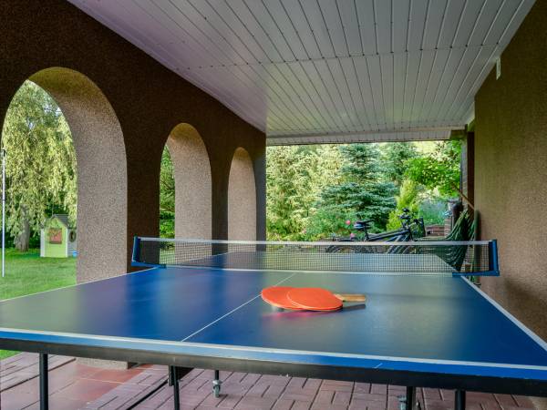 Ping-pong / tenis stołowy 