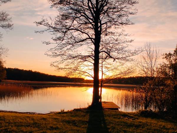Wilk Zając domki Apartamenty 