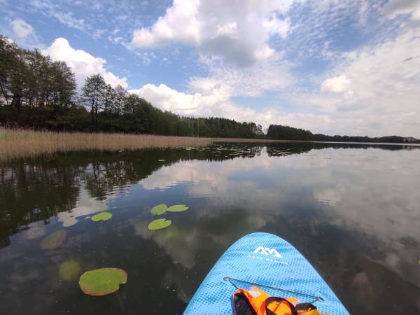 Wilk Zając domki Apartamenty 