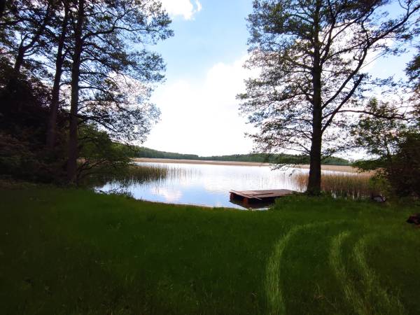 Wilk Zając domki Apartamenty 