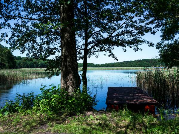 Wilk Zając domki Apartamenty 