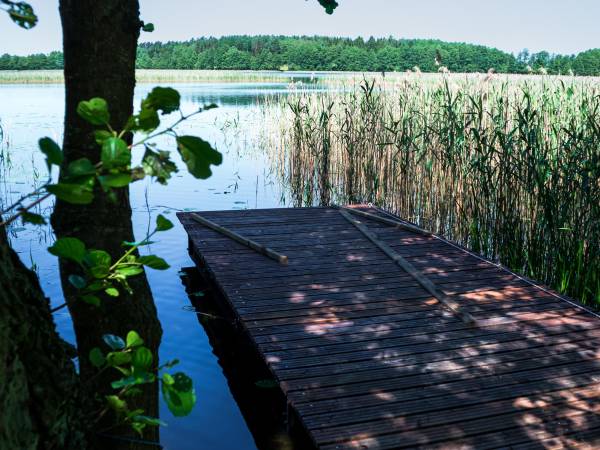 Wilk Zając domki Apartamenty 