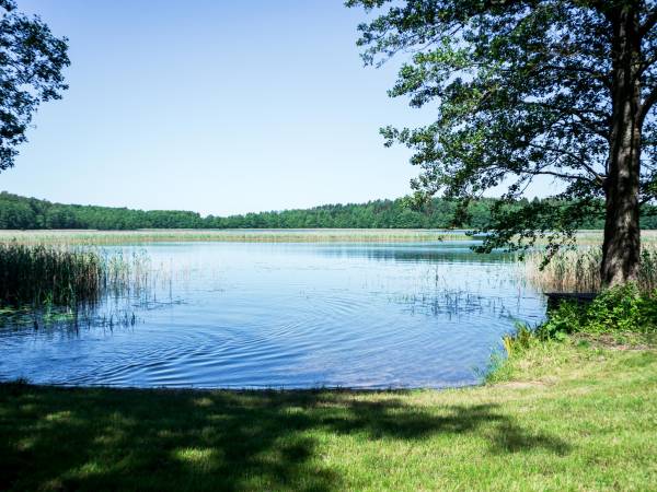 Wilk Zając domki Apartamenty 