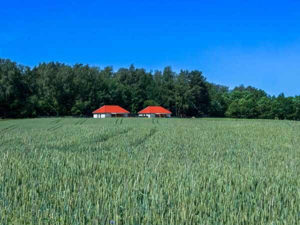 Wilk Zając domki Apartamenty 