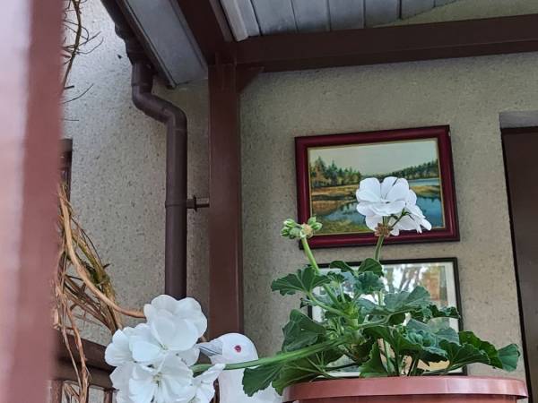 Siedlisko Kromienice 