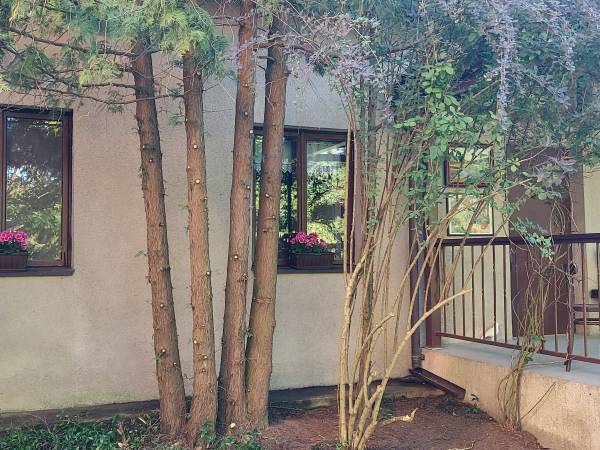 Siedlisko Kromienice 