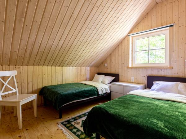 Domki na Wrzoska - Dębki