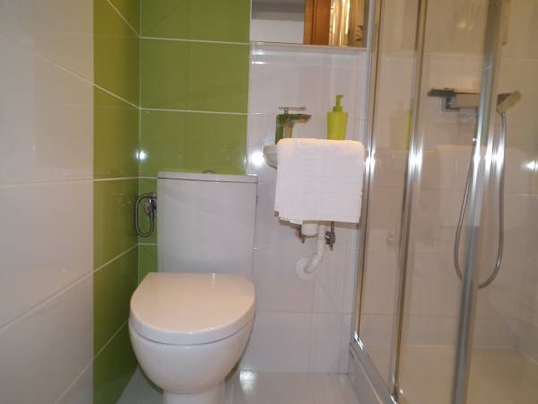 Apartament Green Power łazienka