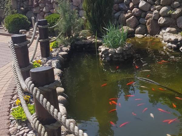 Pokoje Gościnne Pasja 