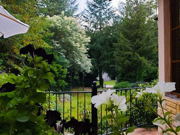 DWOREK i GLAMPING KREFTÓWKA