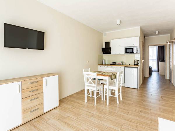 Salon z aneksem kuchennym