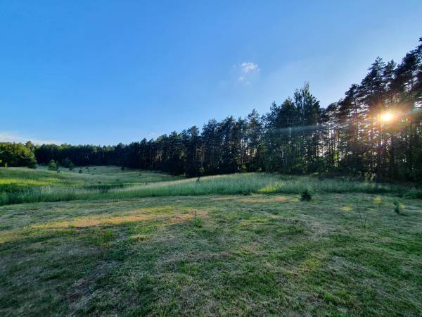 Widok na łąkę i las