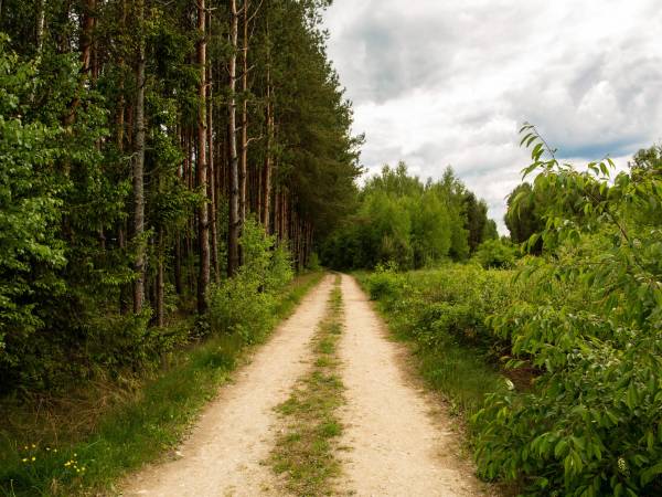 Siedlisko Sołtysówka 