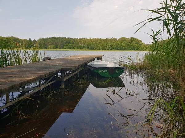 Domki całoroczne Natura Sad