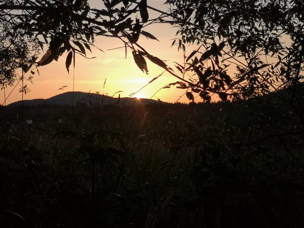 Pod Gwiazdami Bieszczady