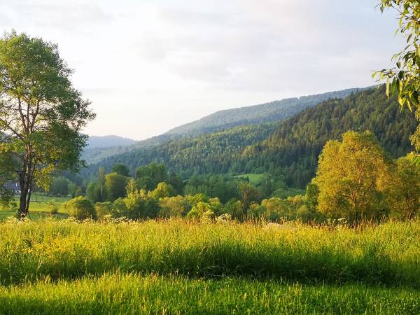 Pod Gwiazdami Bieszczady