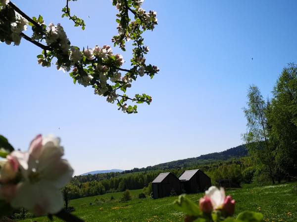Pod gwiazdami Bieszczady