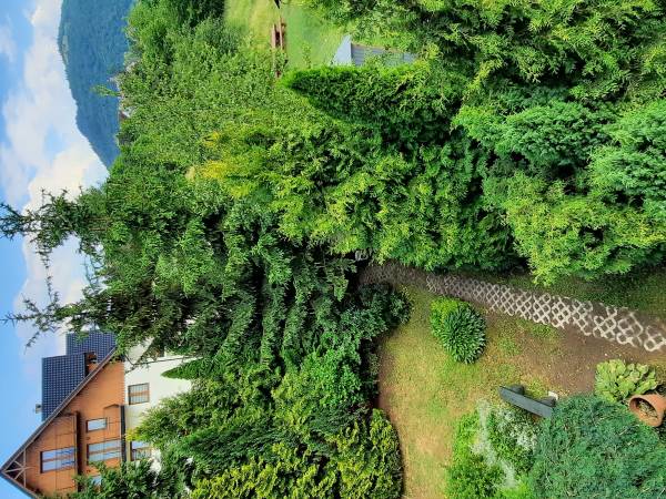 Pokoje i Domek U Marii