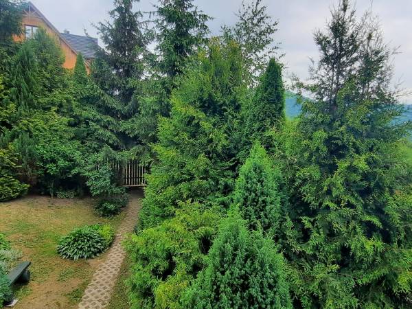 Pokoje i Domek U Marii