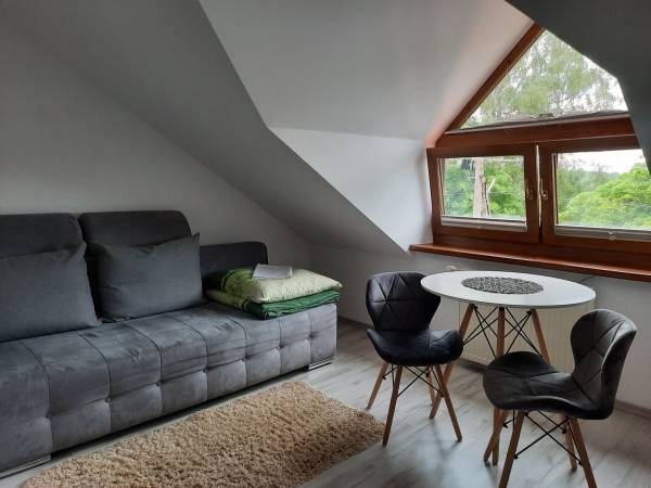 Pokój 1- osobowy z łazienką (7)