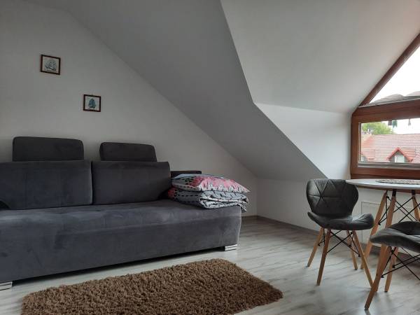 Pokój 1- osobowy z łazienką (6)