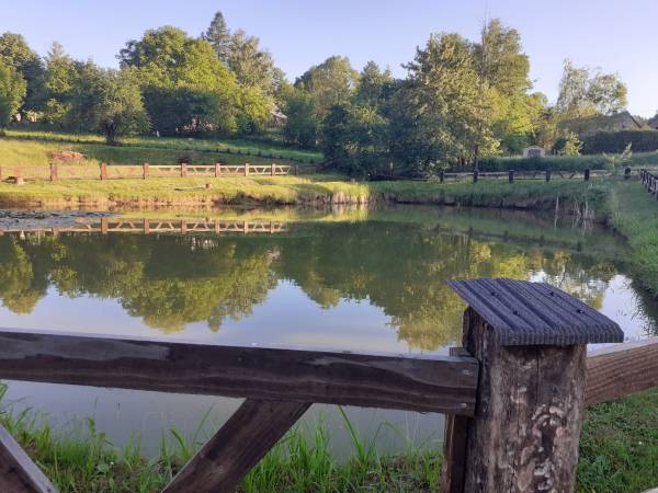 Staw na terenie gospodarstwa 