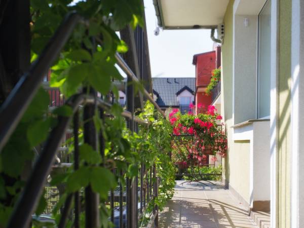 kwatery nad morzem Danusia