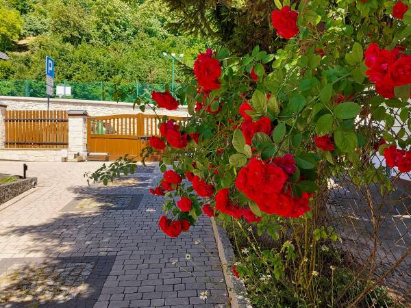 Biały Dom Kazimierski