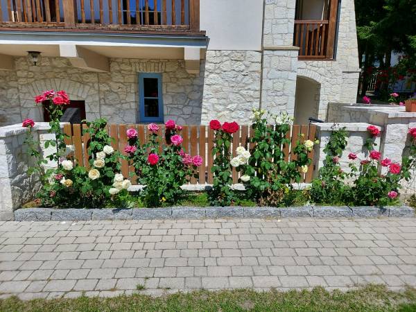 Biały Dom Kazimierski