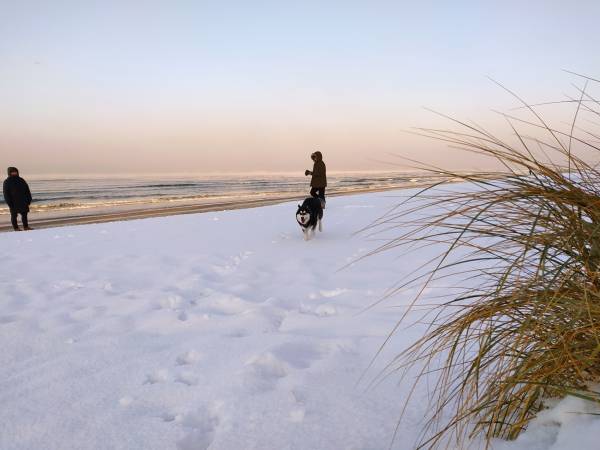 Apartament Jaśminowy