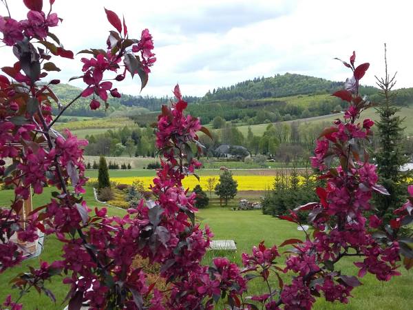 Domek jak z bajki Marcinów/Kłodzko