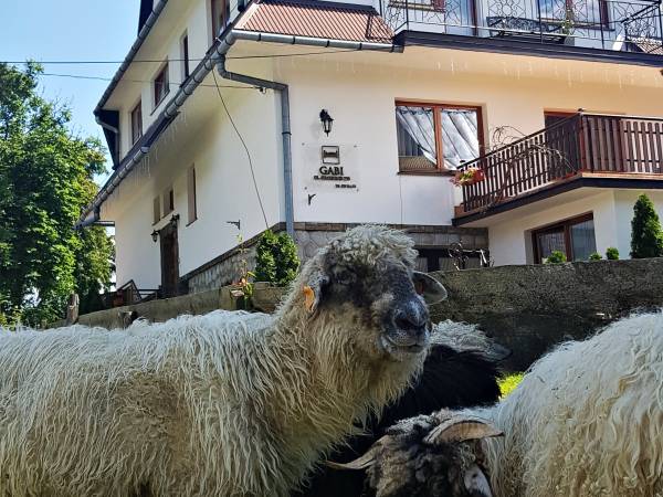 Kurort Wypoczynkowy Gabi
